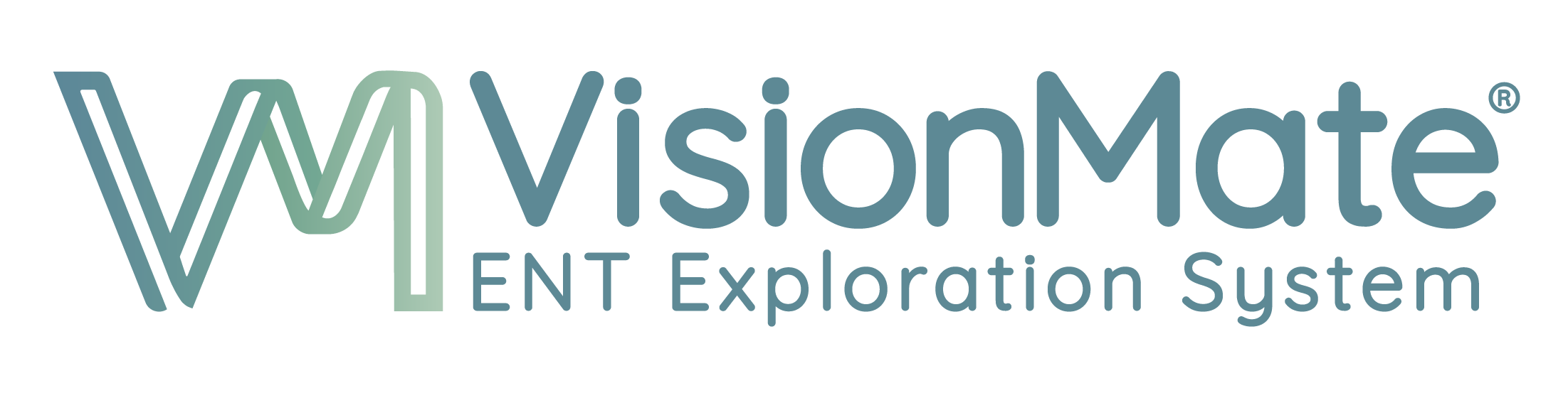 VisionMate — ENT Exploration System